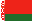  belarus flag