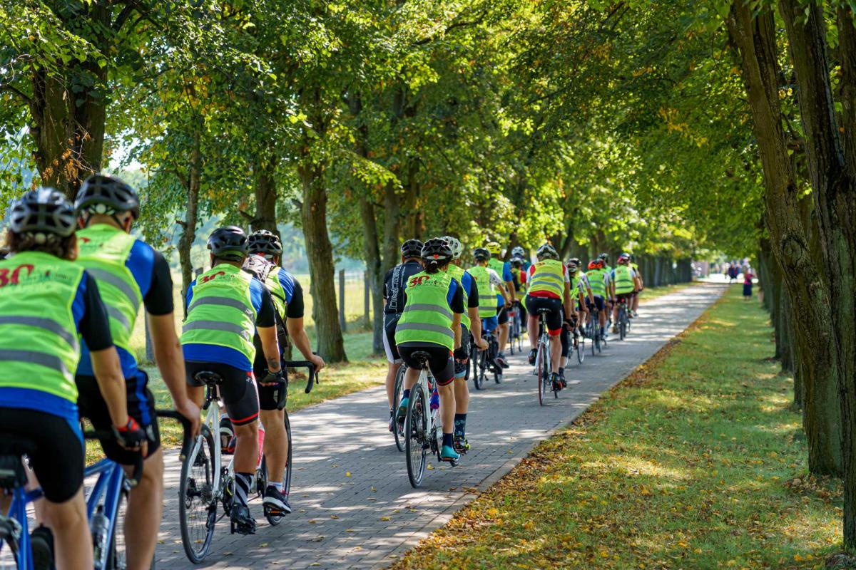 A cycling race, a group of cyclists are riding along a road between rows of trees, on their vests is the logo of the Chance for the Blind Foundation. It is a clear day, the shot is taken from behind the cyclists
